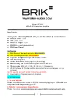 Brik AP-32H User Manual предпросмотр