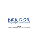 Предварительный просмотр 17 страницы Brildor DTF User Manual