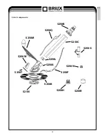 Preview for 11 page of Brilix BARACUDA Installation And User Manual