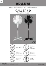 Предварительный просмотр 1 страницы Brilum CALLER 40 Installation And Operating Manual