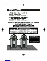 BRINKMAN DS-30 Owner'S Manual preview