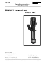 BRINKMANN PUMPS SGL Series Operating Instructions Manual предпросмотр