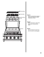 Предварительный просмотр 31 страницы Brinkmann proseries 9415 Owner'S Manual