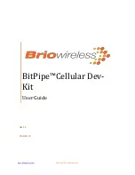 Предварительный просмотр 1 страницы Briowireless BitPipe Cellular DevKit User Manual