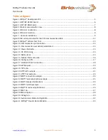 Предварительный просмотр 3 страницы Briowireless BitPipe Cellular DevKit User Manual