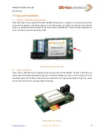 Предварительный просмотр 8 страницы Briowireless BitPipe Cellular DevKit User Manual