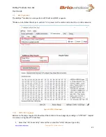 Предварительный просмотр 21 страницы Briowireless BitPipe Cellular DevKit User Manual