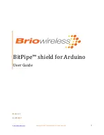 Предварительный просмотр 1 страницы Briowireless BitPipe User Manual