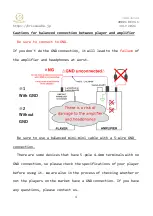 Предварительный просмотр 5 страницы Brise Audio TSURANAGI User Manual