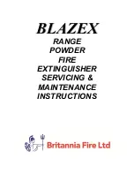 Britannia Fire BLAZEX Servicing & Maintenance Instructions preview