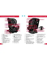 Предварительный просмотр 43 страницы Britax MARATHON 65 Manual