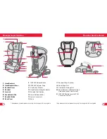 Preview for 8 page of Britax PARKWAY SGL User Manual