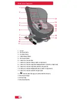 Preview for 12 page of Britax ROUNDABOUT 55 User Manual