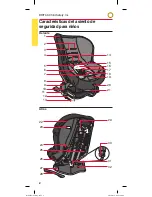 Предварительный просмотр 46 страницы Britax Roundabout User Manual