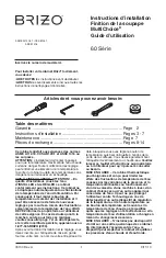 Preview for 17 page of Brizo T600 Series Installation Instructions & Owner'S Manual