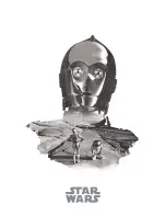 Preview for 5 page of Broil King TIE Fighter SW-2201 Operation Manual