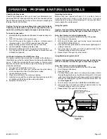 Preview for 43 page of Broilermaster H3PK1-3 Instructions Manual