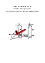 BRONZE GYM H-025 User Manual preview