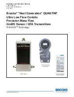 Brooks Instrument QUANTIM Next Generation Installation And Operation Manual предпросмотр