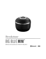 Brookstone BIG BLUE MINI User Manual preview