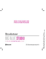 Brookstone BIG BLUESTUDIO User Manual предпросмотр