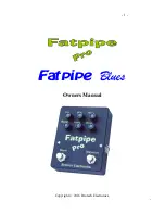 Brotech Fatpipe Blues Owner'S Manual предпросмотр