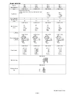 Предварительный просмотр 21 страницы Brother FD3-B251 Specifications