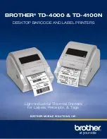 Preview for 1 page of Brother TD-4100N Technical Specifications