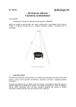 Предварительный просмотр 1 страницы BROWIN 330450 User Manual