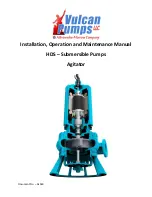 Preview for 1 page of Browlee-Morrow Vulcan Pumps HDS 100L Installation, Operation And Maintenance Manual