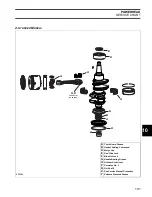 Предварительный просмотр 191 страницы BRP EVINRUDE E-TEC BE50DPLABA Service Manual