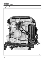 Предварительный просмотр 228 страницы BRP EVINRUDE E-TEC BE50DPLABA Service Manual