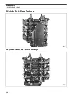 Предварительный просмотр 232 страницы BRP EVINRUDE E-TEC BE50DPLABA Service Manual