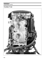 Предварительный просмотр 234 страницы BRP EVINRUDE E-TEC BE50DPLABA Service Manual