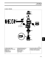 Preview for 193 page of BRP Evinrude E-TEC Manual