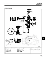 Preview for 195 page of BRP Evinrude E-TEC Manual