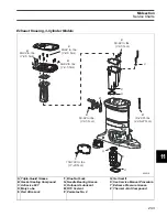 Preview for 243 page of BRP Evinrude E-TEC Manual