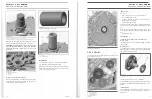 Предварительный просмотр 38 страницы BRP RORAX V-810 Shop Manual