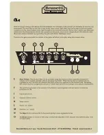 Предварительный просмотр 6 страницы Brunetti mercury EL34 User Manual