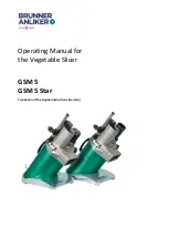 Brunner Anliker GSM 5 Operating Manual предпросмотр