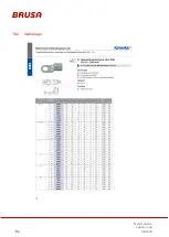 Preview for 86 page of Brusa BDC546 Technical Data And Start-Up