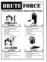 Brute Force AC 20818 Instruction Manual предпросмотр