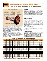 Preview for 2 page of Bryan Boilers BE-210-W4T7 Specification