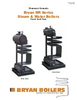 Bryan Boilers Bryan DR Series Brochure preview