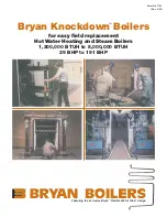 Bryan Boilers Bryan Knockdown CLM-120 29 Brochure & Specs preview