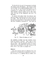 Preview for 27 page of BSA Winged Wheel W1 Instruction Manual