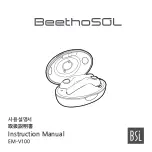 BSL BeethoSOL Instruction Manual preview