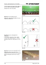 Preview for 106 page of BSL Strautmann Sherpa 1201 Translation Of The Original Operating Instructions