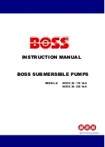 BSS Audio Boss 36-110 Instruction Manual предпросмотр