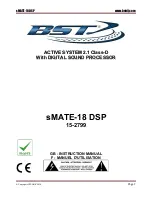 BST sMATE-18 DSP Instruction Manual preview